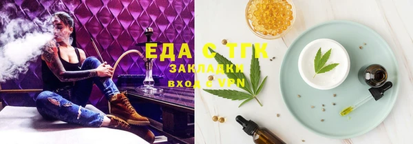 индика Пестово