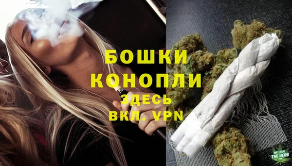 сатива Бугульма