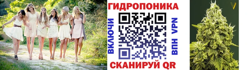 МАРИХУАНА сатива  kraken как зайти  Каспийск 